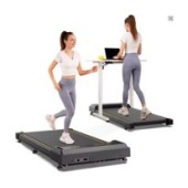 Όργανα Γυμναστικής