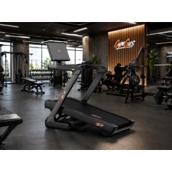 Επαγγελματικός διάδρομος γυμναστικής GymGus 4HP με ανάκληση έως 12 μοίρες και μέγιστη ταχύτητα 20km/h Επαγγελματικός διάδρομος γυμναστικής GymGus 4HP με ανάκληση έως 12 μοίρες και μέγιστη ταχύτητα 20km/h