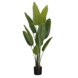 Τεχνητό Φυτό Εξωτερικού Χώρου Το δέντρο του ταξιδιώτη με ύψος 163cm