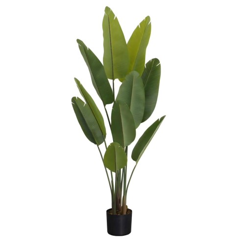 Τεχνητό Φυτό Εξωτερικού Χώρου Το δέντρο του ταξιδιώτη με ύψος 163cm