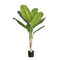 Τεχνητό Φυτό Εξωτερικού Χώρου Μπανανιά με ύψος 186cm Τεχνητό Φυτό Εξωτερικού Χώρου Μπανανιά με ύψος 186cm