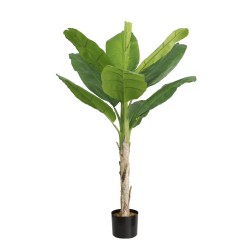 Τεχνητό Φυτό Εξωτερικού Χώρου Μπανανιά με ύψος 210cm Τεχνητό Φυτό Εξωτερικού Χώρου Μπανανιά με ύψος 210cm