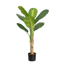 Τεχνητό Φυτό Εξωτερικού Χώρου Μπανανιά με ύψος 150cm Τεχνητό Φυτό Εξωτερικού Χώρου Μπανανιά με ύψος 150cm