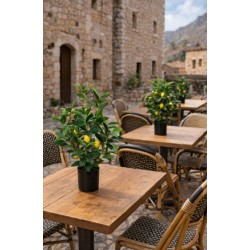 Τεχνητό Φυτό Εξωτερικού Χώρου Λεμονιά με ύψος 75cm