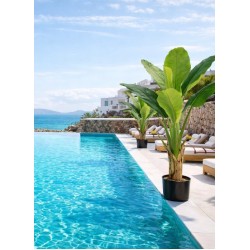 Τεχνητό Φυτό Εξωτερικού Χώρου Μπανανιά με ύψος 150cm