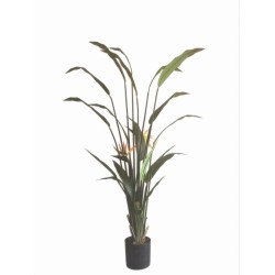 Τεχνητό Φυτό Εξωτερικού Χώρου Strelitzia με ύψος 190cm
