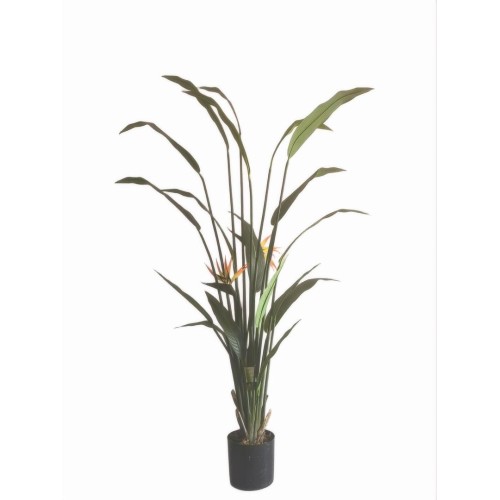 Τεχνητό Φυτό Εξωτερικού Χώρου Strelitzia με ύψος 190cm